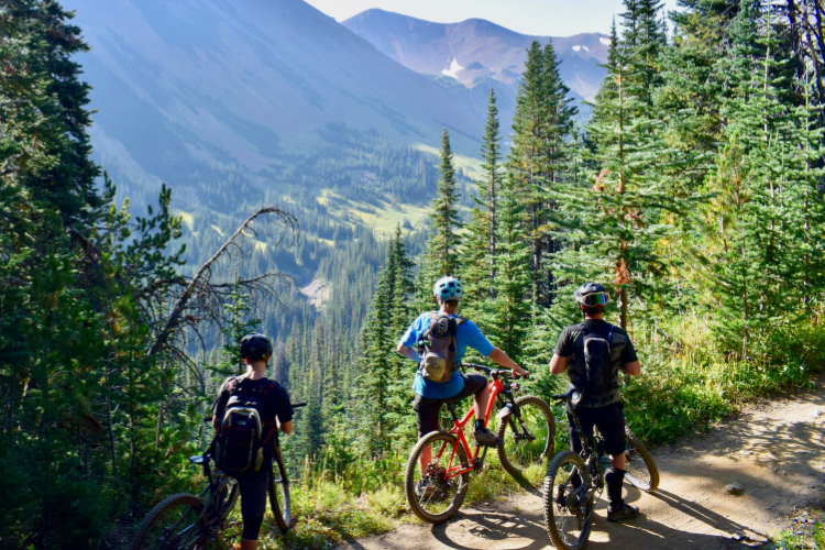 Pistes de descente VTT